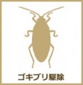 ゴキブリ駆除
