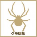 クモ駆除