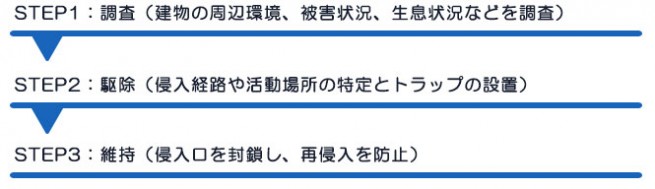 ダスキンクラウンのネズミ駆除のながれ