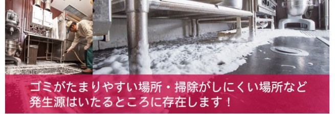 ゴミがたまりやすい場所・掃除がしにくい場所など発生源は至る所に存在します。